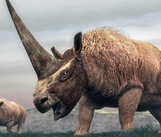 an ancient rhino with a big horn