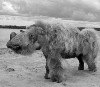 black and white image of a rhino with long hair